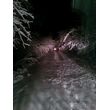 20160107_054959.jpg