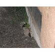 DSCF1157.jpg