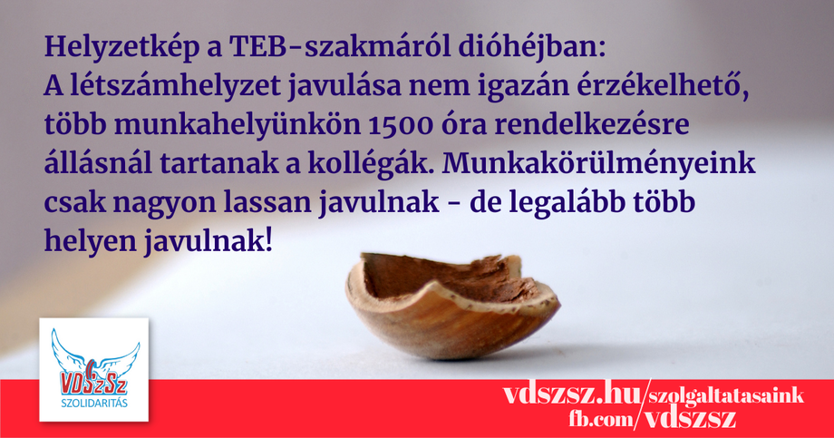 Dióhéjban: hol tart a TEB-szakma jelenleg?