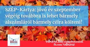 SZÉP-Kártya: jövő év szeptember végéig továbbra is lehet bármely alszámláról bármely célra költeni!